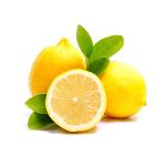 Zitrone - Citrus Limon