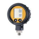 SIKA Präzisions-Digitalmanometer,  Industrieausführung mit Ex-Schutz, Typ D-Ex