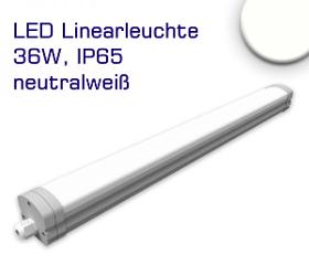 LED LINEARLEUCHTE 36W, IP65 in neutralweiss und warmweiss lieferbar