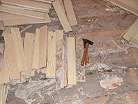 Holzschutz und Schwammsanierung (Pflanzliche Holzschädlinge)
