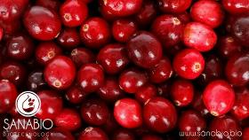 Cranberryöl, BIO FOOD