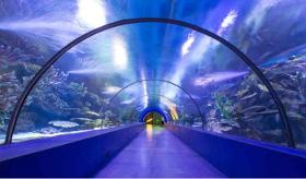 Tunnel Aquarium