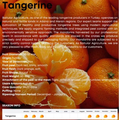 BALTULAR Mandarinen Frucht Tangerine 