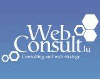 WEB CONSULT
