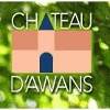CHATEAU D'AWANS