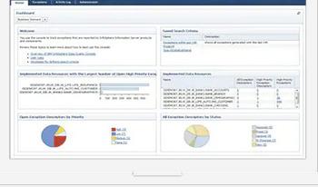 IBM InfoSphere® Information Server