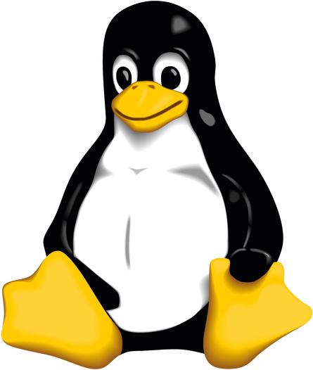 Linux Entwicklung für Embedded Systeme