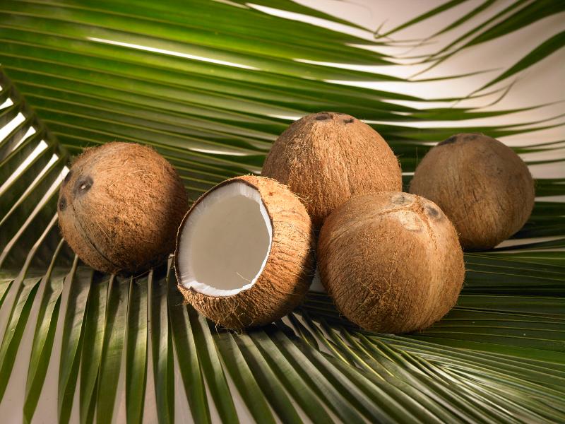 Kokoscreme / Bio Kokoscreme