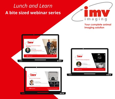 Lunch and Learn Webinar Series