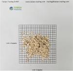 Austernpilze getrocknet  / Dried Mushroom Oyster (Pleurotus 