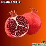 Granatappfel