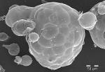 Mikrozellulare Hohlkörper