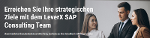 SAP-Beratung