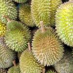 Durian / Kotzfrucht