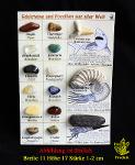 Mineralien und Fossilien Sammlung M15