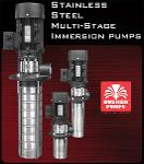 Stainless steel multi-stage immersion pumps