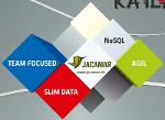 JACAMAR -  Software für agiles Datenmanagement