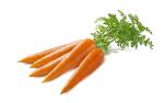 Karottensaftpulver [Carrot Juice Powder]