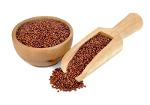 Quinoa rot biolgisch und konventionell