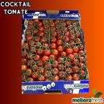 Coctail Tomate