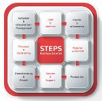 Steps Business Solution
