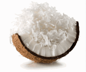 Kokosnussrohstoffe für die Lebensmittelindustrie