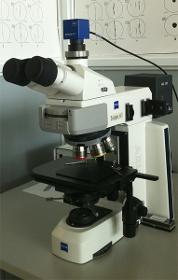 Mikroskopische Untersuchungen