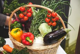 Großhandel von Obst und Gemüse