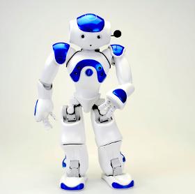 NAO the Robot