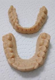 Modelle für die Zahntechnik/Zahnmedizin