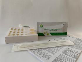 Green Spring SARS-CoV-2 Antigen Schnelltest Kit (Colloidal Gold) - Corona/Covid-19 Schnelltest - 25 Tests