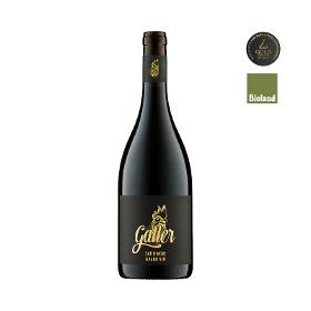 2018 Satin Noir QbA Rotwein · Grand Vin trocken unfiltriert