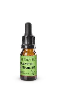 Eukalyptus Globulus BIO - Ätherisches Öl 10mL