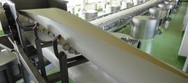 APULLMA Superclean Wrap-Fördersystem für sauberen Schüttgut-Transport