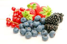 Fruchtpulver - Beerenmischungen [Fruit Powders - Berry Blends]