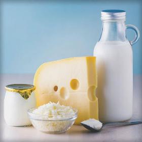 Hurtownia przetworów mlecznych – szeroki wybór nabiału