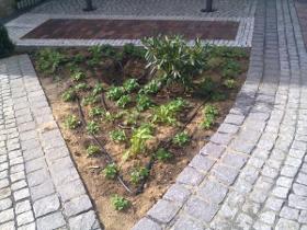Bewässerungstechnik für Gärten & Parkanlagen