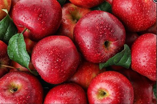 Verkauf von frischen Äpfeln im Großhandel