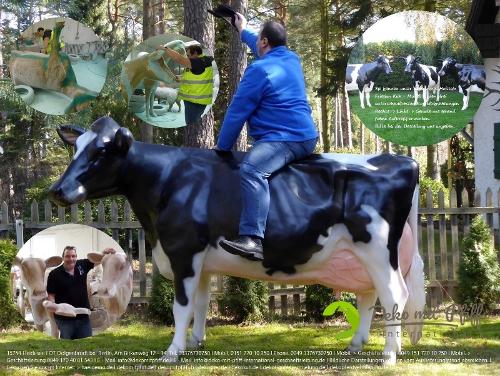 Erleben Sie unser hauseigenes Holstein - Frisian Deko Kuh lebensgroß  - Modell in den unterschiedlichsten Ausführungen