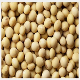 Soybeans (GHS TRADING GMBH)