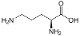 L-Ornithine HCL (BMP BULK MEDICINES & PHARMACEUTICALS GMBH)