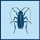 Insektenschutz (SERVO-TECH)