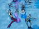 Familien Incentive Meerjungfrauenschwimmen (TEENEVENT GMBH)