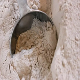 White Maize Flour (GHS TRADING GMBH)