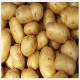 Fresh Potato (GHS TRADING GMBH)