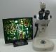 Stereo-Zoom-Mikroskop - Digitalmikroskop mit Kamera (DISTELKAMP-ELECTRONIC)
