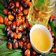 Palm Oil (GHS TRADING GMBH)