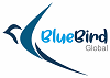 BLUEBIRD GLOBAL