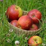Wellant Apfel
