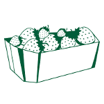 Kartonschalen für Obst und Gemüse